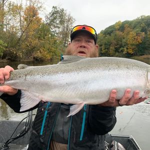 Meet your Posher, Bryant